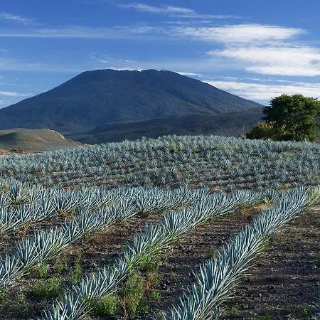 Jalisco