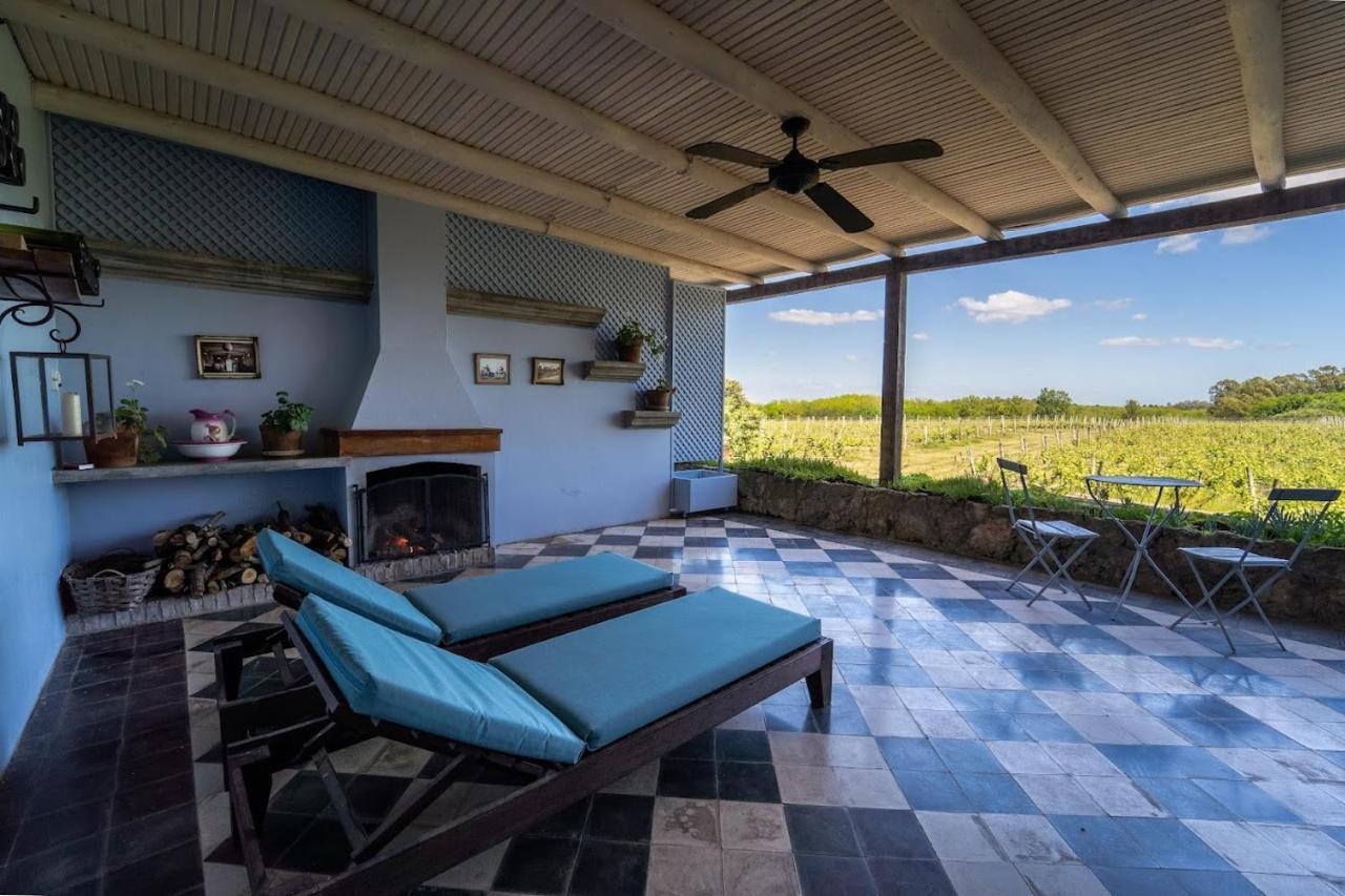 Suite con vistas al viñedo