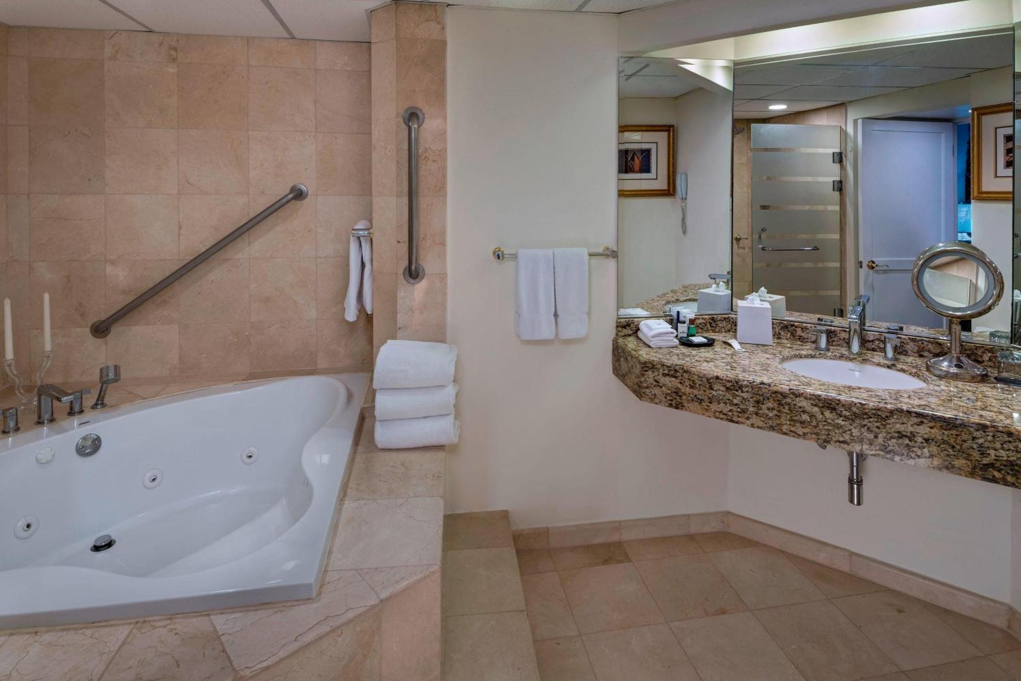 Suite Presidencial con cama extragrande y vistas al jardín - Planta principal