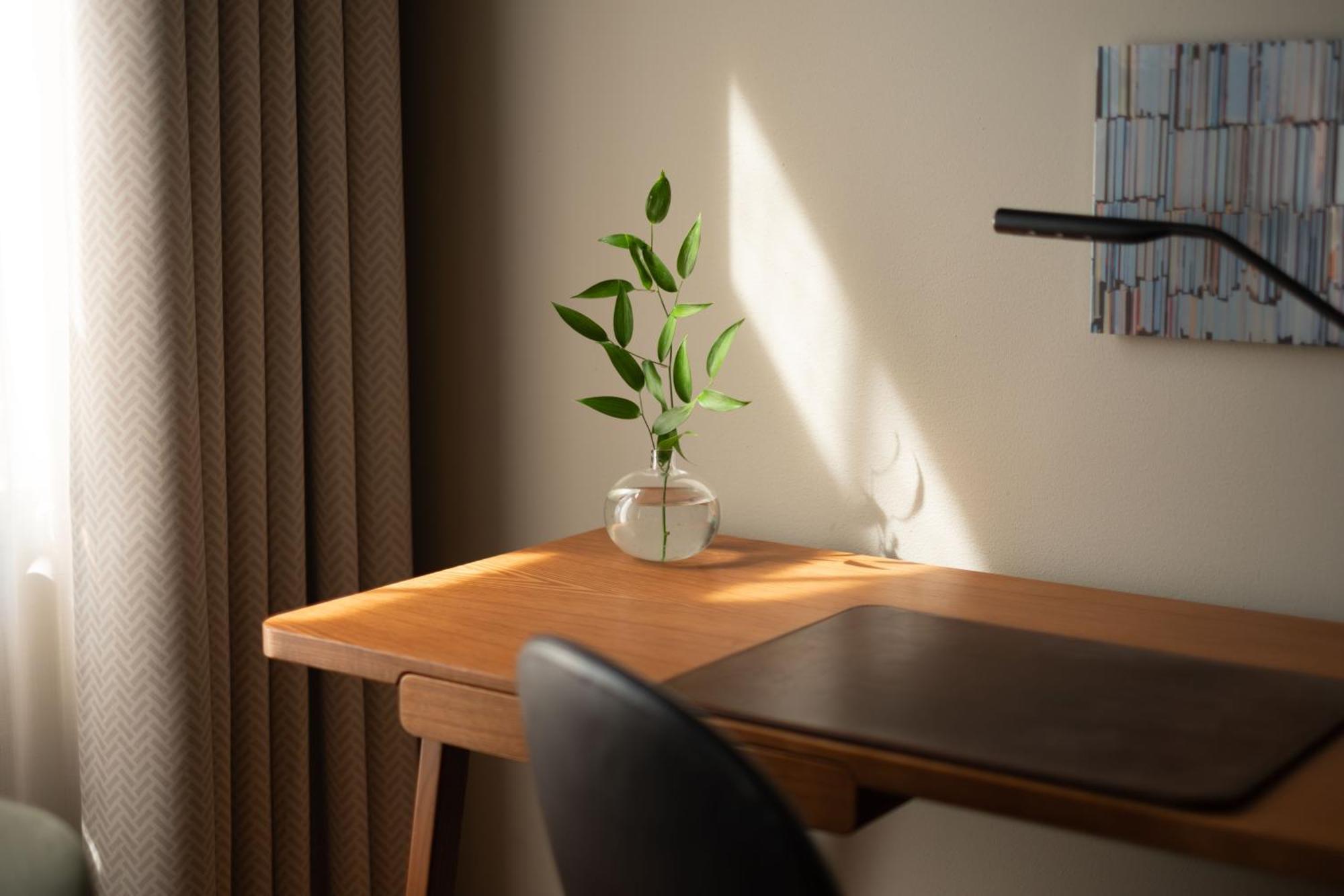 Habitación Doble Estándar