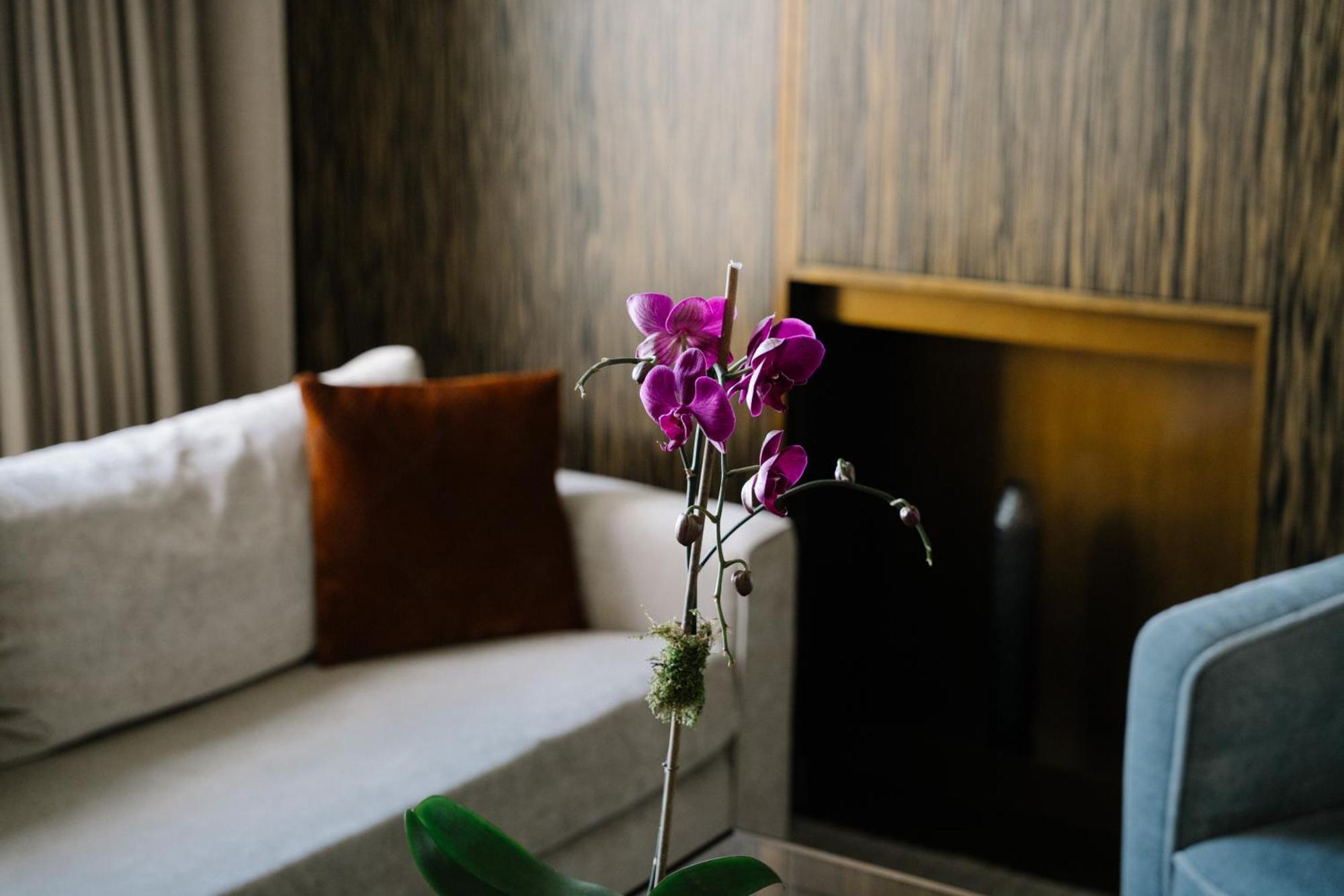 Suite SoHi de 2 dormitorios con vistas