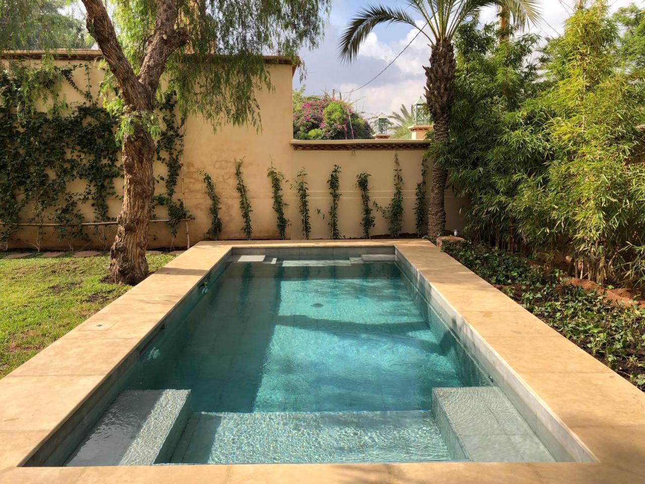 Suite Superior