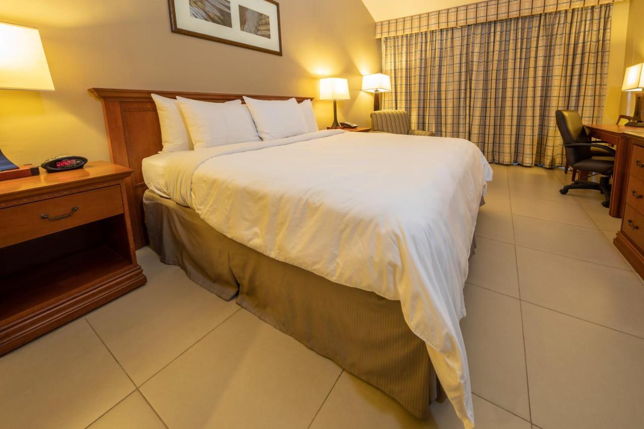 Suite con cama extragrande y sofá cama - No fumadores