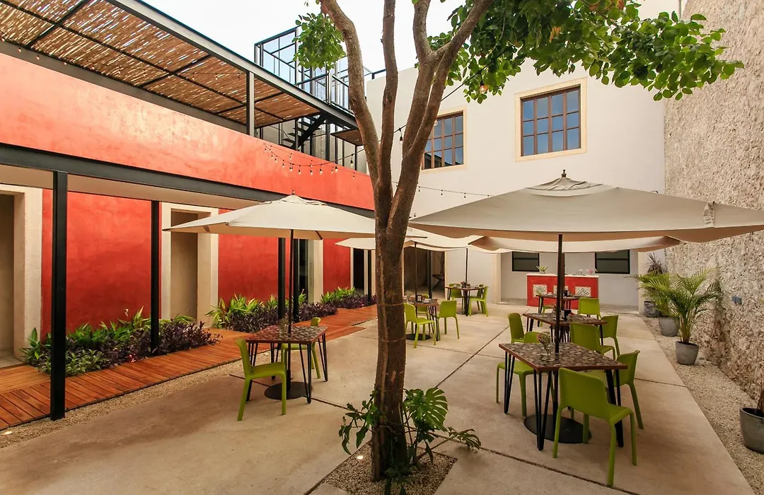 Casona 61 by GuruHotel-1