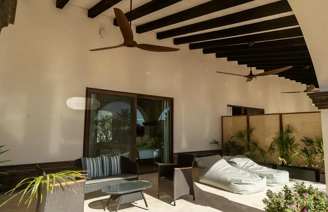 Orchid House Baja-1