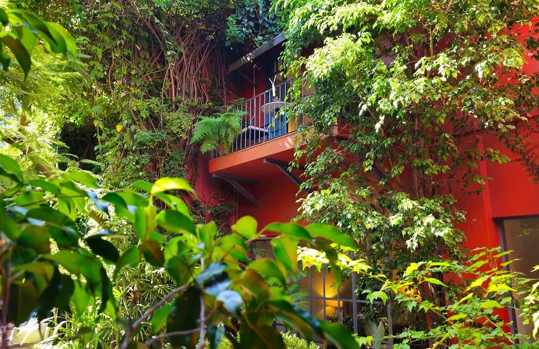 BE Jardin Escondido By Coppola-1