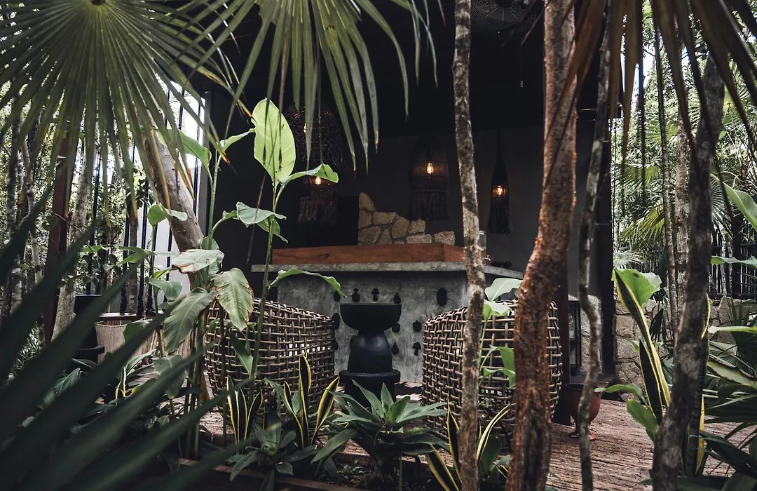 Siwa Wellness Villa Collection-1