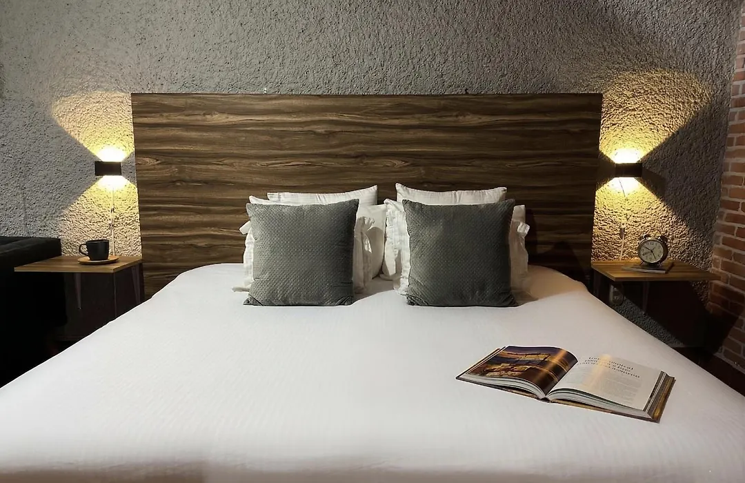 Orgánico Hotel Boutique TEPOZTLÁN-1