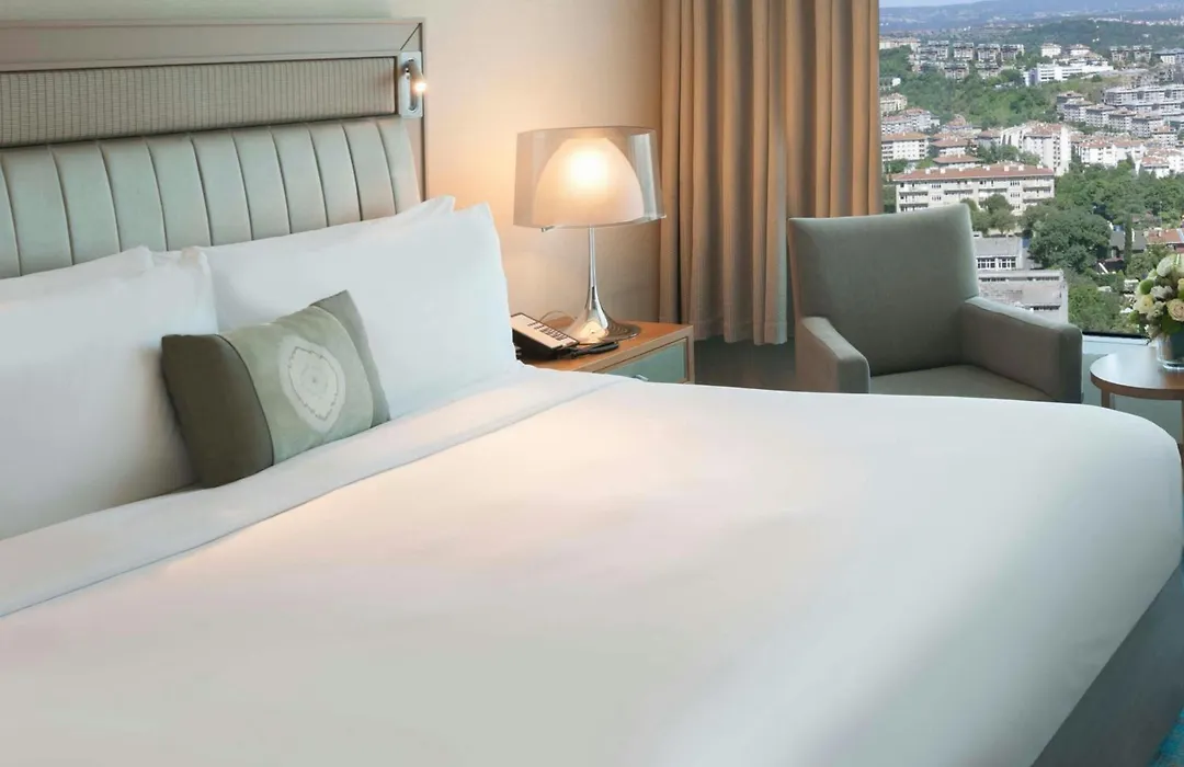 Renaissance Istanbul Polat Bosphorus Hotel-1