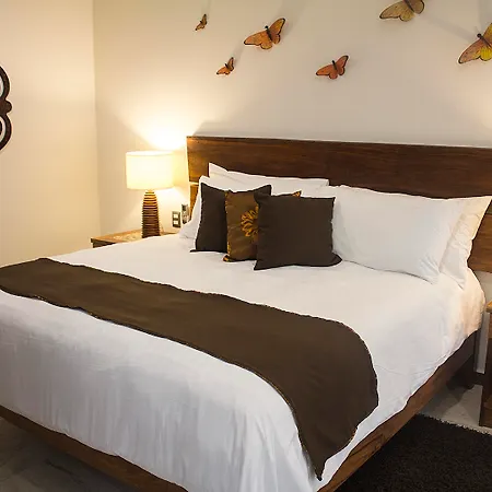 Casa Ticul Hotel Boutique - 5Th Ave (Adults Only)-2
