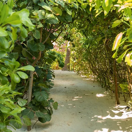 Tago Tulum By G Hotels-3