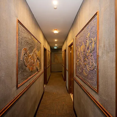 Comfort Point-2