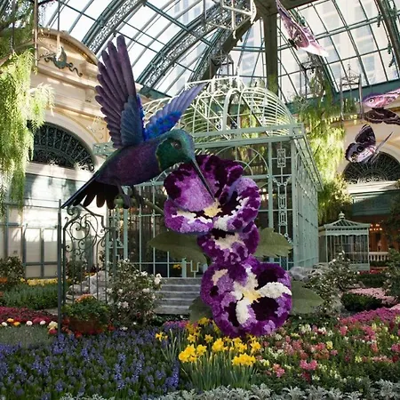 Bellagio By Suiteness-2