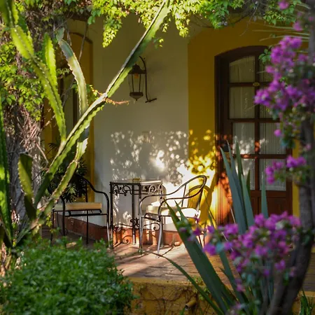 Hotel Hacienda Los Laureles-2