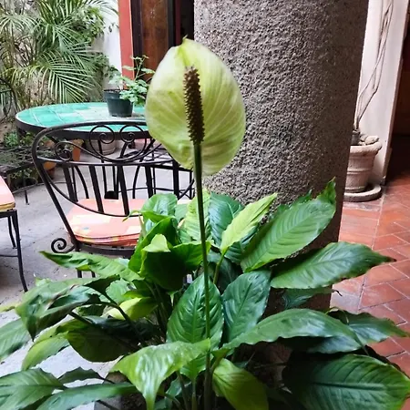 Hotel Antigua Casa de Piedra-3
