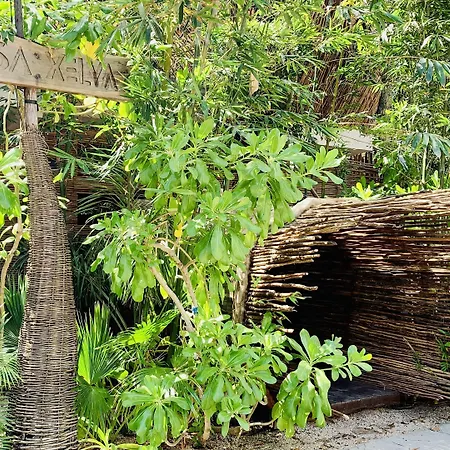 Orchid House Tulum Jungle-3