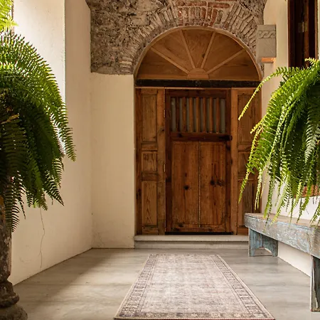 Orchid House San Miguel De Allende-2