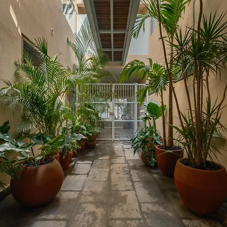 Cholula Condesa Hotel by Lumina-2