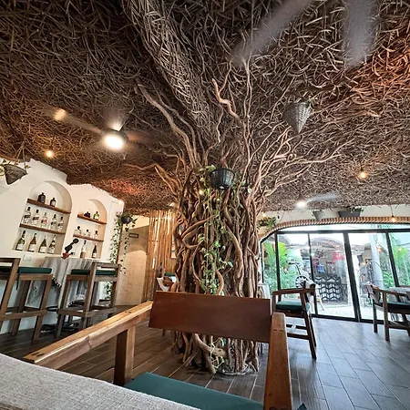 Enigmatic Boutique Hotel-2