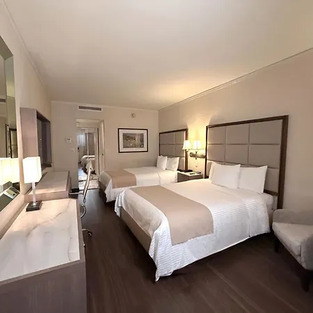Safi Royal Luxury Centro-3
