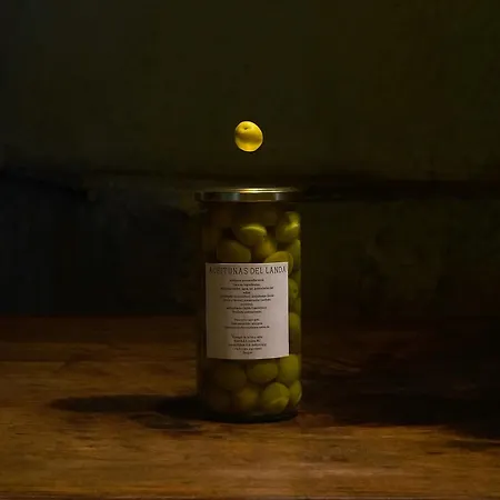 Landa-3
