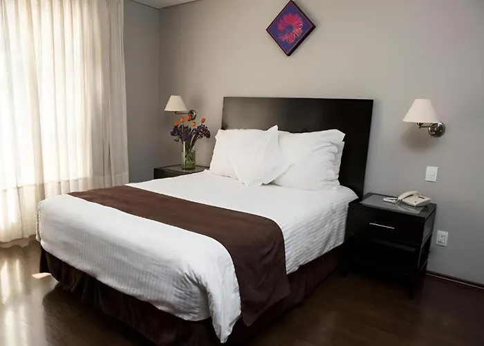 Suites Giorgio México DF
