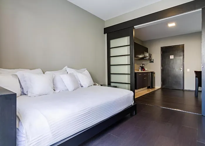 Suites Giorgio México DF