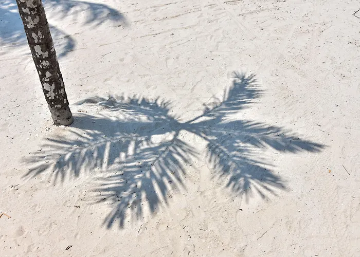 Amaite Holbox - Oceanfront Hotel